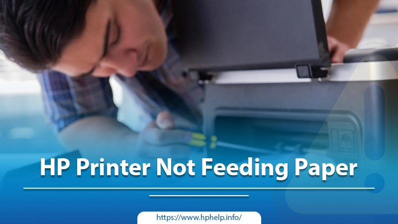 Top 5 Tips To Fix HP Printer Not Feeding Paper Issue